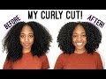 My New Curly Haircut!+ 1 Year Update!| 1 year of Natural Hair Growth