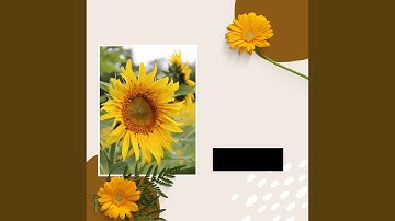 Pulsating Backdrops for Inspiring Reads