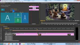 How to using adorage trainsisation adobe premiere pro cc 2017 myanmar screenshot 3