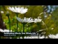 Spiritual Awakening Affects Your Whole Life | Jon Bernie