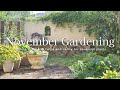 《11月のガーデニング》ビオラとチューリップの可愛い鉢植え作り*秋定番のお手入れ《T's Garden》
