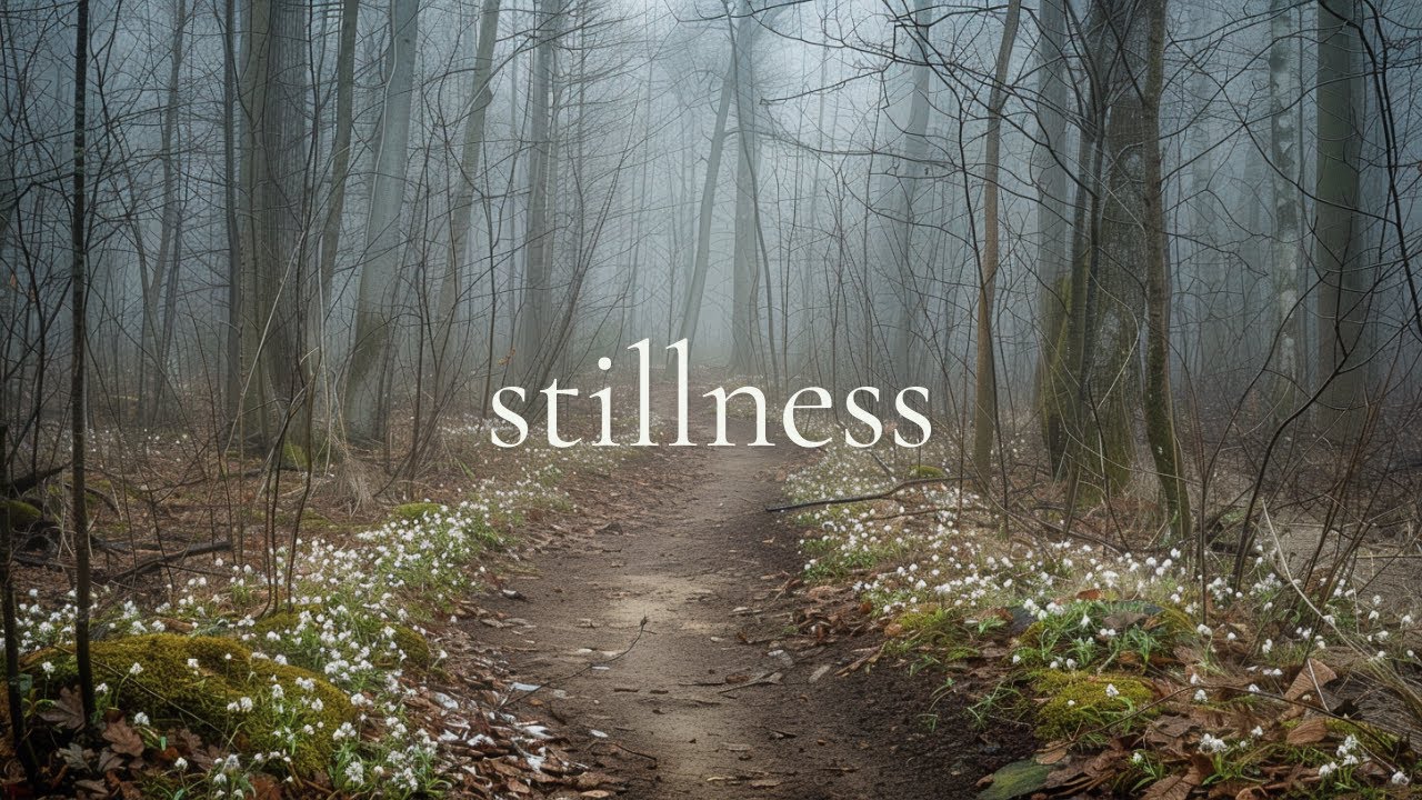 Stillness for Everyday Tasks | Calm Piano & Guitar