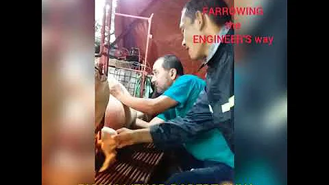 FARROWING made easy the ENGINEER's way