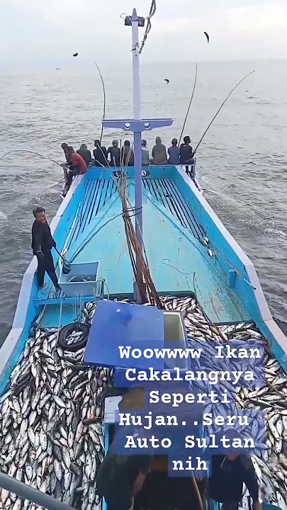 Seruu...Kapal Nelayan ini Dapat Puluhan Ton ikan Cakalang dalam 1 jam..