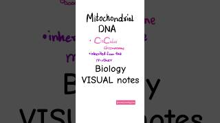 mitochondrial DNA facts Biology Notes #biology #biologyfacts #medschool #mbbsnotes #mbbs #medical 🧿