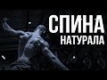 Тренировка натурала - ТРЕНИРОВКА СПИНЫ