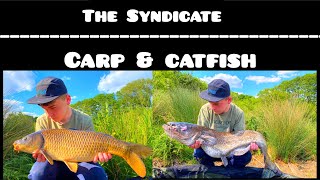 The Syndicate|Carp & Catfish