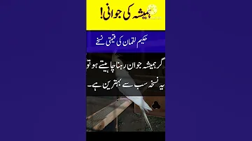 Hamesha Jawan Rehne Ka Tarika Hakeem Luqman Health Tips Adab Hakeemluqman Quotes 