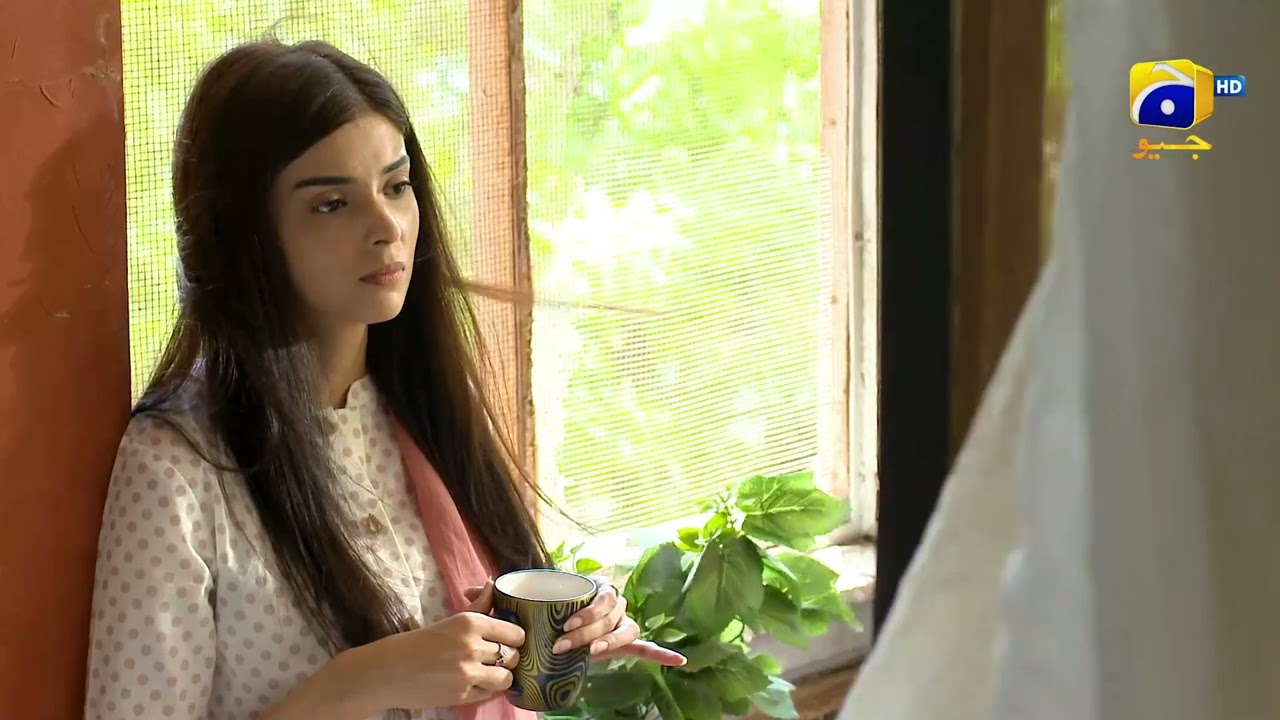 Nikah 𝗡𝗲𝘄 𝗣𝗿𝗼𝗺𝗼 Episode 29 | Haroon Shahid | Zainab Shabbir | HAR PAL GEO