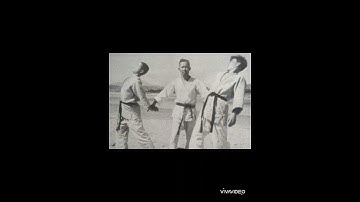 Choi Yong-sool #hapkido #korea #korean #martialarts #selfdefense #teacher #legend #combatsport