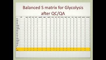 Lecture 9. The Stoichiometric Matrix