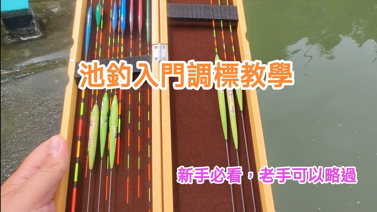 【教學之章】池釣入門調標教學，新手必看，老手請略過