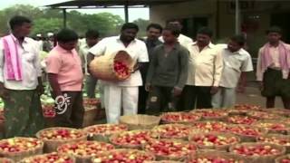 Mushroom and Pepper Cultivation - Eruvaka - 17-10-2014 - 99tv