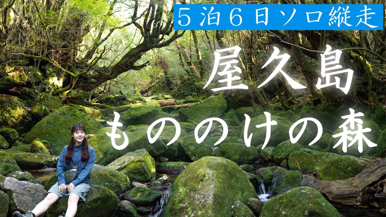 【屋久島】白谷雲水峡〜縄文杉ルート：太鼓岩、ウィルソン株を巡る登山