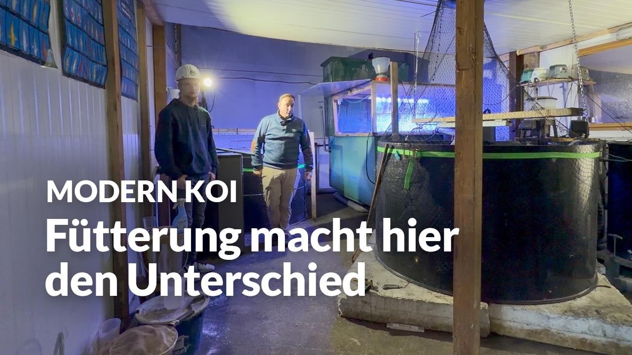 Eine Wasseranalyse nach Georgs Brandkatastrophe | Modern Koi Blog #8043