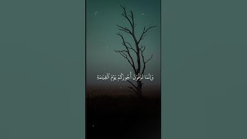 اكتب شيء تؤجر عليه ❤️‍🩹🌿 #تلاوة_خاشعة #قران_كريم#اذكر_الله #اكسبلور