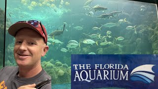 Perfect Day in Tampa | Florida Aquarium and Columbia Cafe on the River Walk!