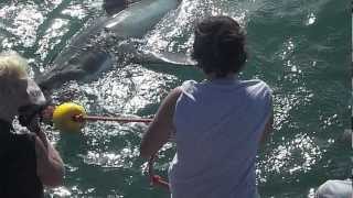 Oceans Research Internship October/November 2012