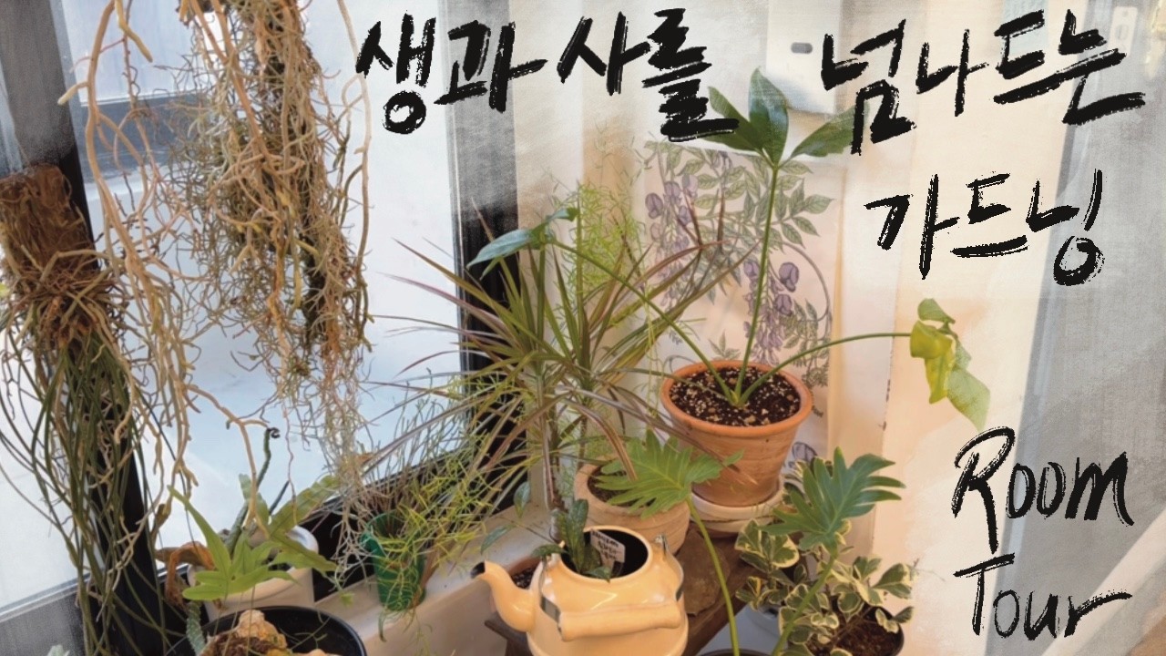 [RoomTour] 식물을 키우다보면 슬픔과 기쁨은 항상 공존해. / 뿌리가 자라나기 시작할 때의 발견이 기분좋은 이유:)