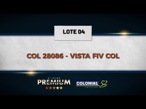 LOTE 04 COL 28086