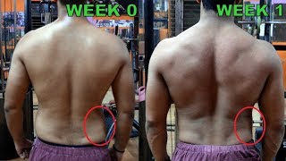 How to Lose Love Handles in 1 Week | 3 Easy Exercise