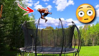 Crazy Trampoline Sessions