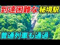 【脱出困難】普通列車すら通過するガチ秘境駅・坪尻に行ったらヤバすぎた...