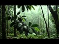Rain Sounds in a Tranquil Garden(No Ads) 🌧 | For Deep Sleep & Relaxation