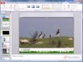 Работа с видео в PowerPoint 2010