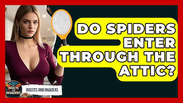 Do Spiders Enter Through The Attic? - Insects and Invaders