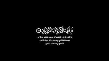 مرج البحرين يلتقيان شاشة سوداء | #عمر_شميم حالات واتس | كرومات قرآن كريم