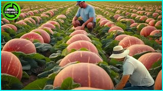 The Most Modern Agriculture Machines That Are At Another Level, How To Harvest Strawberry In Farm ▶2