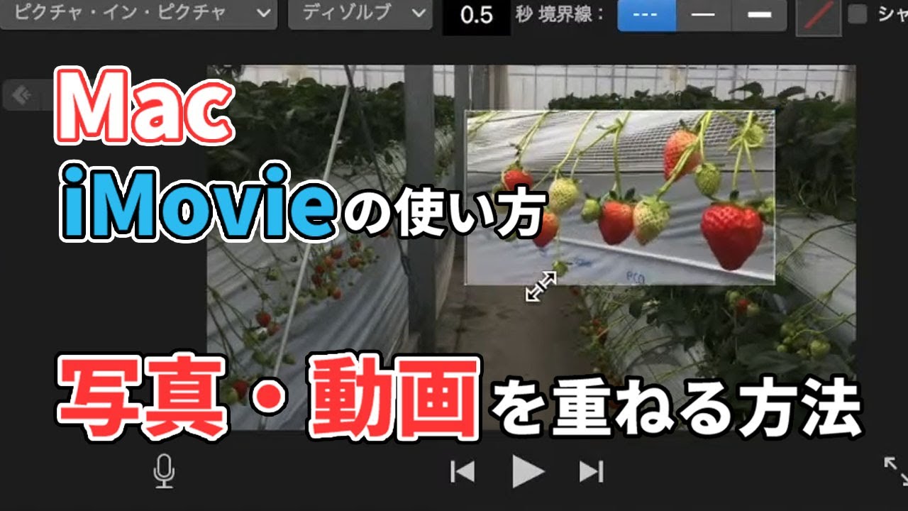 Macでimovie使い方 ピクチャインピクチャ 写真 動画を2つ重ねる方法 Youtube