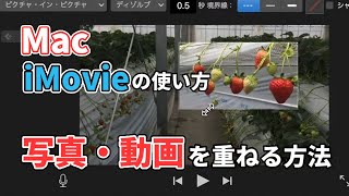 Macでimovie使い方 ピクチャインピクチャ 写真 動画を2つ重ねる方法 Youtube Macでimovie使い方 ピクチャインピクチャ 写真 動画を2つ重ねる方法 Youtube