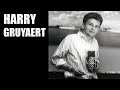 Harry gruyaert