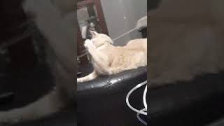 Famous October 31, 2020 Net Worth