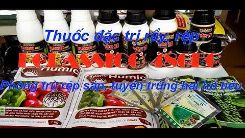 Hưỡng dẫn phòng trừ rệp sáp, tuyến trùng hồ tiêu