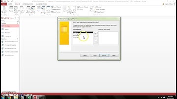 Find Duplicates Query Wizard