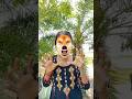 Survival Skills:🤪SMART ideas and Useful in forest#survival #useful #ideas#smart #shorts😦🐶😳j7419