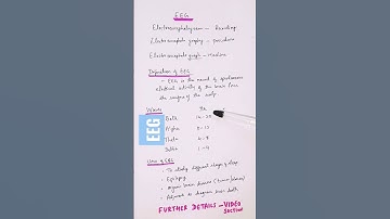 EEG | Electroencephalogram  | Brain activity