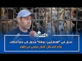 منزل في العمارتيين بوبانة يتحول إلى ملجأ للكلاب وأحد السكان النباح حرمني من النوم منزل في العمارتيين بوبانة يتحول إلى ملجأ للكلاب وأحد السكان النباح حرمني من النوم