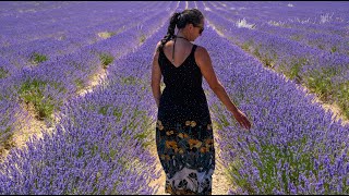 Los campos de lavanda en Tiedra y más: 6 planes que hacer en Tiedra