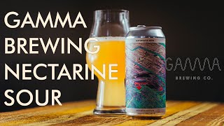 Craft Beer Review: Gamma Brewing 'Metastatic Grid' Nectarine Sour screenshot 5