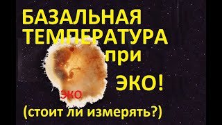 🌡️Базальная температура при ЭКО 🤰– информативна или нет? Как расшифровать? Реальные графики БТ ЭКО