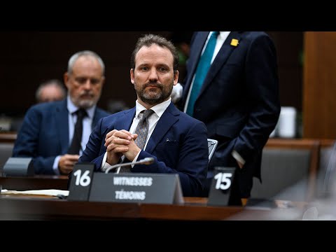 Alexandre Trudeau on if he'd be open to a public inquiry: 'We're wasting our time'