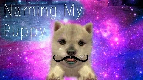 Nintendogs + Cats GRv | Naming My Puppy!