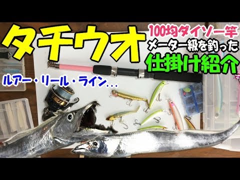 タチウオ 豊洲