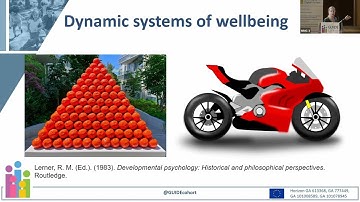 Measuring Child Wellbeing in the GUIDE Pilot Surveys