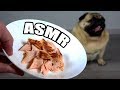 ASMR Dog Eating Salmon I Maggie The Pug