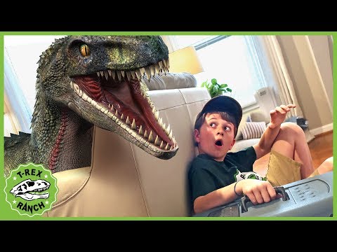 dinosaurs-&-animals-for-kids!-giant-dinosaur-vs-mystery-pet-with-wildlife-animal-adventure-park-zoo